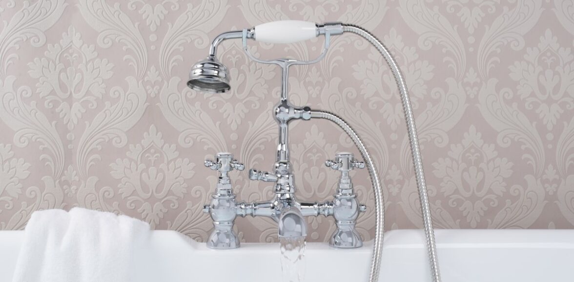 Duis sagitis ipsum prasent