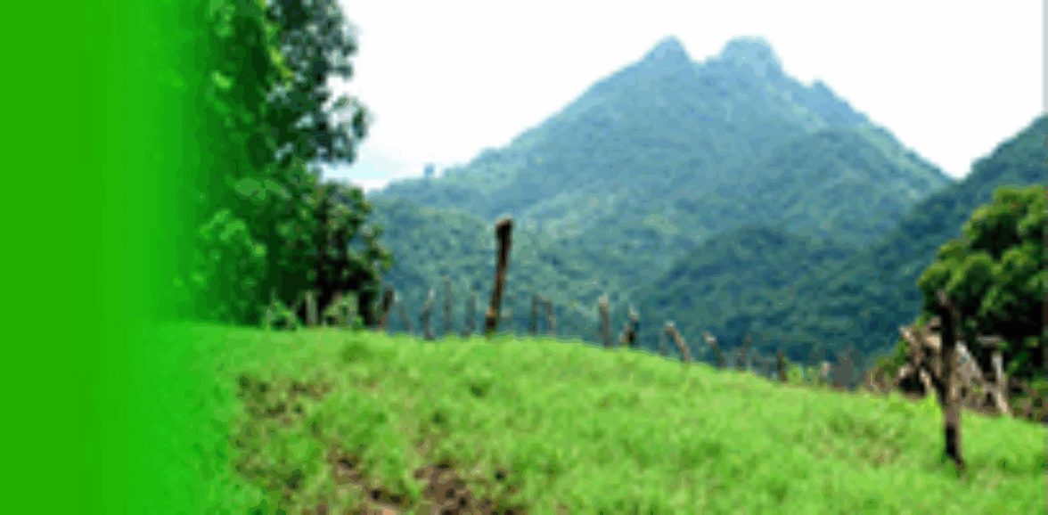 Potencialidades ecoturísticas para el desarrollo económico local del municipio San Pedro Masahuat.