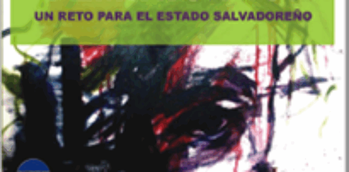 Violencia de género contra las mujeres y feminicidio: un reto para el Estado salvadoreño