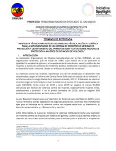 Tdr estudio de factibilidad registro nac 1a convocatoria