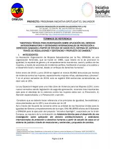 Tdr investigacion sobre aplicación de derecho antidiscriminatorio y estandares de derechos humanos 2a convocatoria
