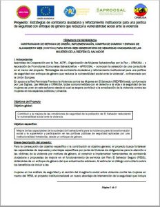 Tdr-Investigación-Seguridad-Ciudadana-de-las-mujeres-1.a-Convoctoria-ormusa