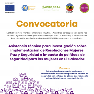 Terminos de referencia investigacion seguridad ciudadana de las mujeres 5a.Convocatoria