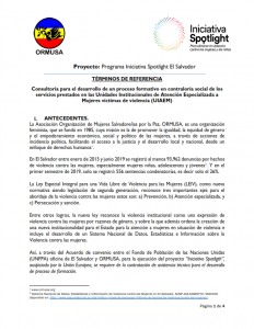 TDR PROCESO FORMATIVO Y CONSTRCCIÓN DE PLAN DE MONITOREO 1a convocatoria
