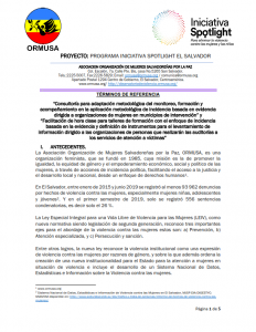 TDR ADAPTACION METODOLOGICA SPOTLIGHT UNFPA 2a. Convocatoria