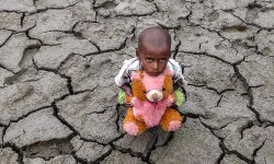 Día Mundial de Lucha contra la Desertificación y la Sequía – 17 de junio