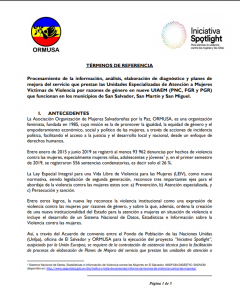 TDR DIAGNÓSTICO Y PLANES DE MEJORA UIAEM 1a convocatoria