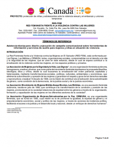 TDR Producción de video y Plan de Medios para su difusión 1a convocatoria