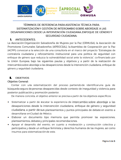 Lee más sobre el artículo TDR Sistematización Intercambio Mexico 2022 1a convocatoria