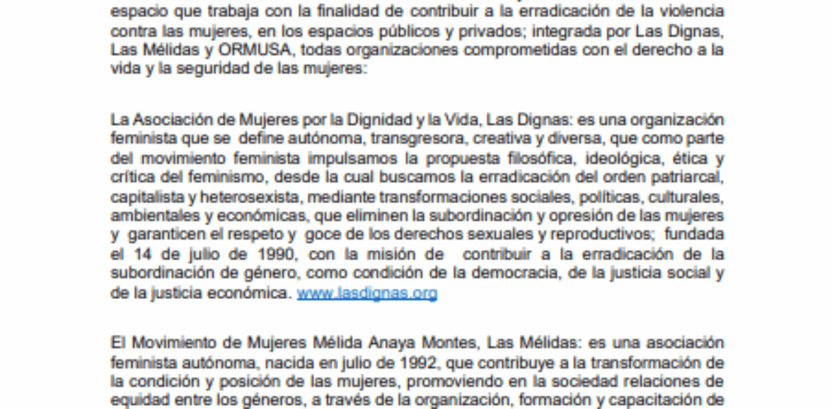 Asistencia técnica para diagramación e impresión de informe de la situación de violencia contra las mujeres