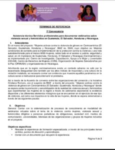 Lee más sobre el artículo Asistencia técnica Servicios profesionales para documentar webinarios sobre  violencia sexual y feminicidios en Guatemala, El Salvador, Honduras y Nicaragua