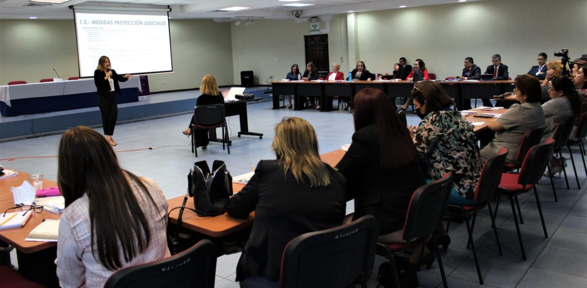 ORMUSA y CSJ realizaron intercambio de experiencias sobre abordaje especializado de la violencia contra las mujeres con representación de juezas y policía de España
