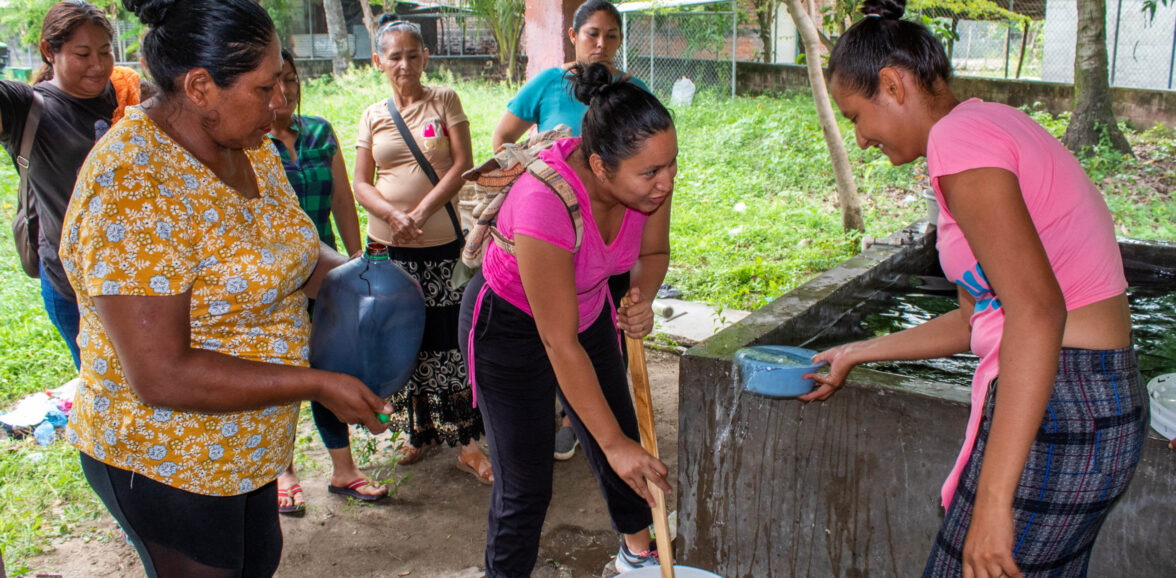ORMUSA en territorio, impulsa el desarrollo y sostenibilidad de las mujeres en San Pedro Masahuat a través de la Escuela de Horticultura