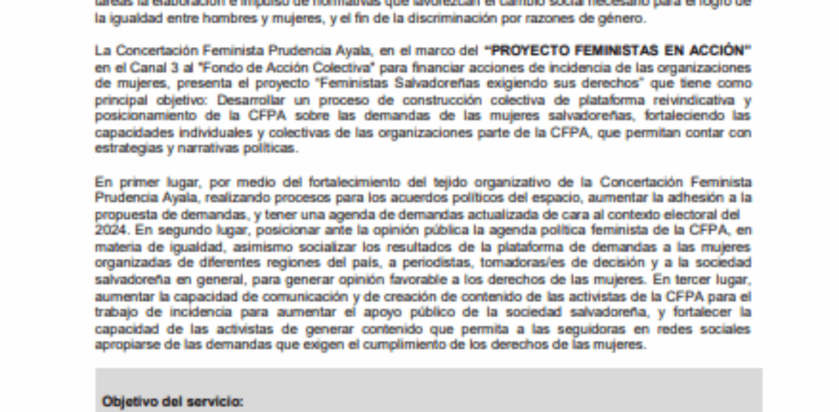 Servicios profesionales para la facilitación de 4 talleres de socialización de la plataforma feminista.