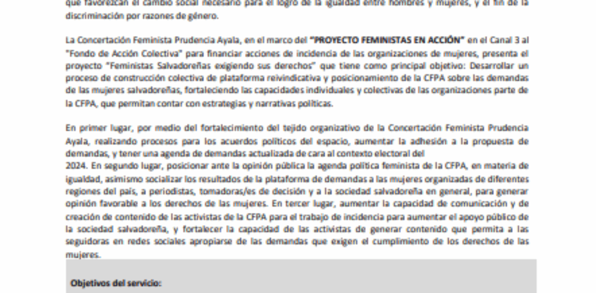 Servicios profesionales para diagramación y diseño de la plataforma feminista 2024-2029