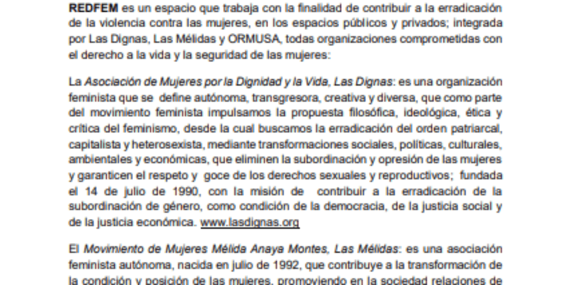 Consultoría para la elaboración de las estrategias de campaña para la difusión y sistematización el Pre-encuentro rumbo al 15 EFLAC y el seminario sobre violencias contra las mujeres