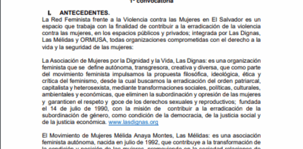 Asistencia técnica Asistencia técnica para facilitación sobre mecanismos de incidencia y participación alternativa a organizaciones de defensa de derechos humanos. 1ª convocatoria
