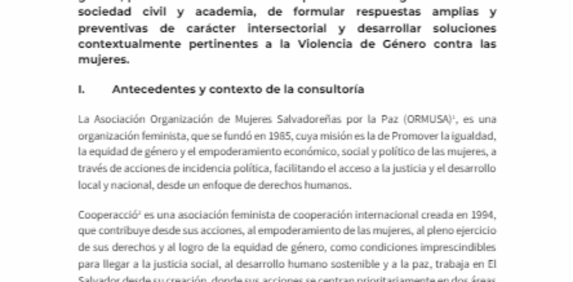 TDR – Diseño y facilitación y sistematización de un diplomado especializado sobre seguridad humana