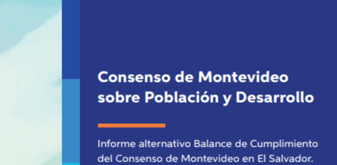 informe alternativo cumplimiento del Consenso de Montevideo