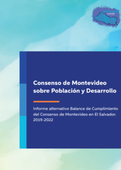 informe alternativo cumplimiento del Consenso de Montevideo