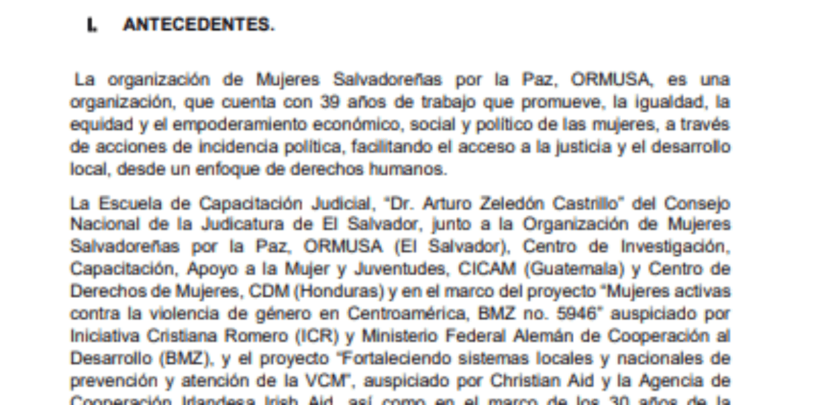 Asistencia técnica servicios profesionales para documentar webinarios y Seminario Regional Virtual: Estándares internacionales de protección a Derechos Humanos, en defensa del derecho a vivir una vida libre de violencia.