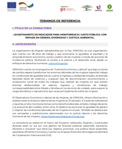 Lee más sobre el artículo Levantamiento de indicador para monitorear el gasto público, con énfasis en género, diversidad y justicia ambiental