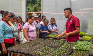 Lee más sobre el artículo ORMUSA en territorio promueve el intercambio de saberes agroecológicos entre mujeres productoras de La Paz y la cooperativa Canasta Campesina