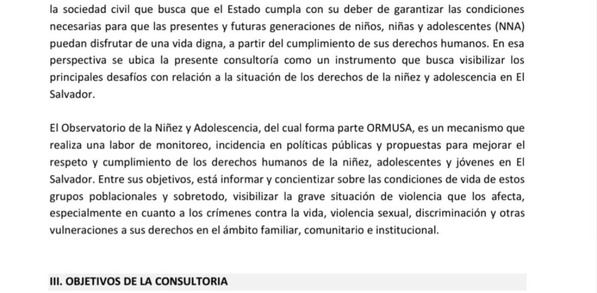 Elaboración de  Informe anual del Observatorio de la Niñez y Adolescencia