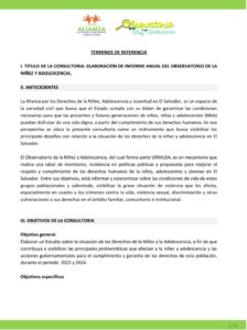 Lee más sobre el artículo Elaboración de  Informe anual del Observatorio de la Niñez y Adolescencia