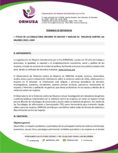 Lee más sobre el artículo Elaboración de Informe de hechos y análisis de Violencia contra las mujeres 2023 y 2024