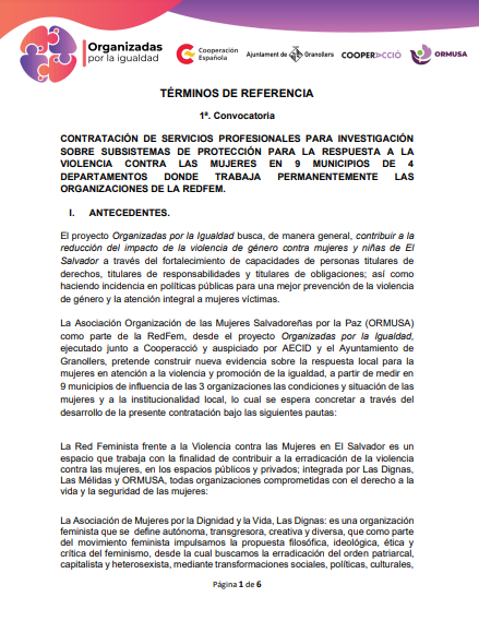 Lee más sobre el artículo Servicios profesionales para investigación sobre subsistemas de protección para la propuesta a la violencia contra las mujeres en 9 municipios de 4 departamentos donde trabaja permanentemente las organizaciones de la REDFEM