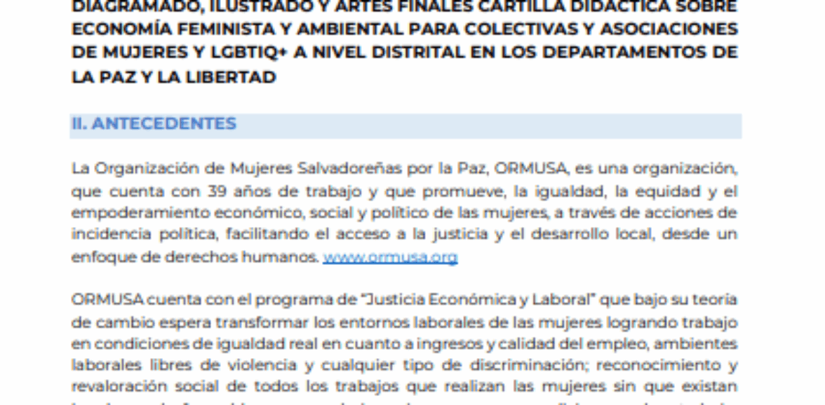 Asistencia técnica para adaptación popular de texto, diagramado, ilustrado y artes finales cartilla, didáctica sobre economía feminista y ambiental para colectivas y asociaciones de mujeres y LGTBIQ+ a nivel distrital en los departamentos de La Paz y La Libertad