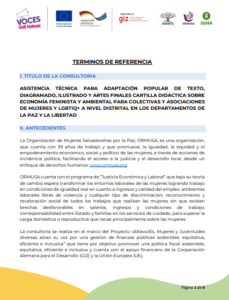 Lee más sobre el artículo Asistencia técnica para adaptación popular de texto, diagramado, ilustrado y artes finales cartilla, didáctica sobre economía feminista y ambiental para colectivas y asociaciones de mujeres y LGTBIQ+ a nivel distrital en los departamentos de La Paz y La Libertad