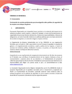 Lee más sobre el artículo Contratación de servicios profesionales para investigación sobre políticas de seguridad de las mujeres con enfoque de genero