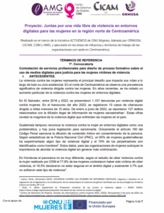 Lee más sobre el artículo Contratación de servicios profesionales para diseño de proceso formativo sobre el uso de medios digitales para justicia para las mujeres víctimas de violencia