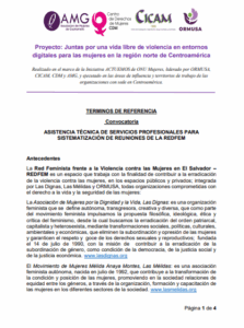 Lee más sobre el artículo Asistencia Técnica de servicios profesionales para sistematización de reuniones de la REDFEM