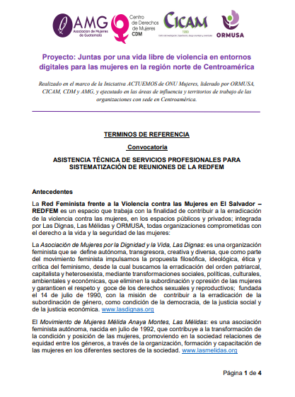 Lee más sobre el artículo Asistencia Técnica de servicios profesionales para sistematización de reuniones de la REDFEM