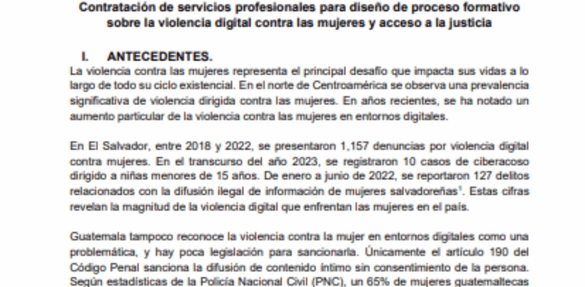 Contratación de servicios profesionales para diseño de proceso formativo sobre la violencia digital contra las mujeres y acceso a la justicia