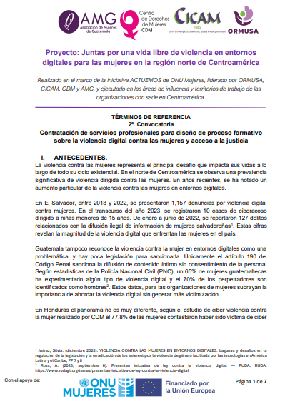 Lee más sobre el artículo Contratación de servicios profesionales para diseño de proceso formativo sobre la violencia digital contra las mujeres y acceso a la justicia