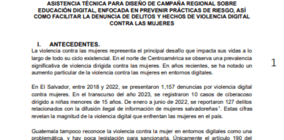 Asistencia técnica para diseño de campaña regional sobre educación digital, enfocada en prevenir prácticas de riesgo, así como facilitar la denuncia de delitos y hechos de violencia digital contra las mujeres