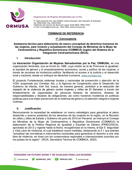 Lee más sobre el artículo Asistencia técnica para elaboración de marco conceptual de derechos humanos delas mujeres, para revisión y actualización del Consejo de Ministras de la Mujer de Centroamérica y República Dominicana (COMMCA) órgano del Sistema de la Integración Centroamericana (SICA).