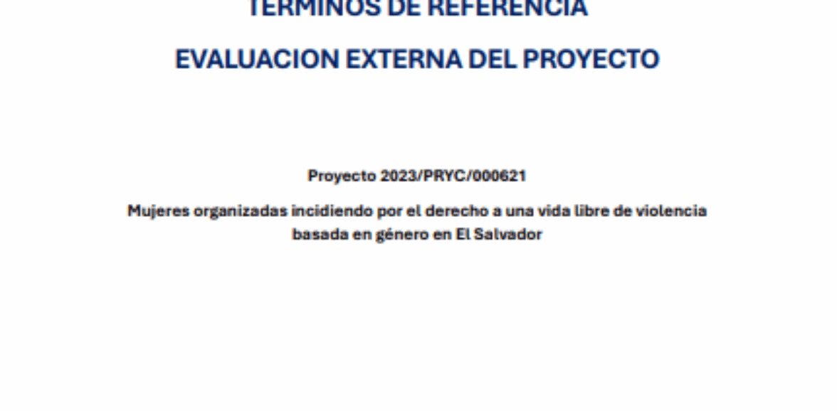 Evaluación externa del proyecto – Mujeres organizadas incidiendo por el derecho de una vida libre de violencia basado en genero en El Salvador