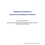 Evaluación externa del proyecto – Mujeres organizadas incidiendo por el derecho de una vida libre de violencia basado en genero en El Salvador