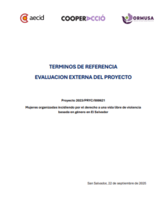 Lee más sobre el artículo Evaluación externa del proyecto – Mujeres organizadas incidiendo por el derecho de una vida libre de violencia basado en genero en El Salvador
