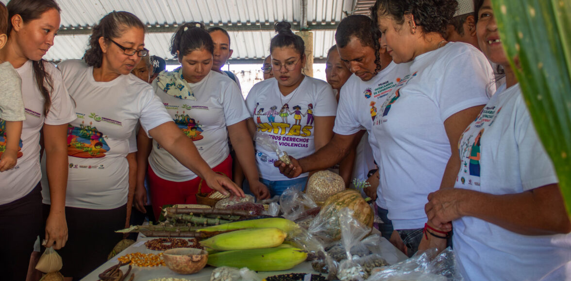 Mujeres rurales reafirman su papel en la seguridad alimentaria y el desarrollo sostenible