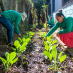 Mujeres de Ciudad Arce cultivan vida, autonomía y derechos desde la horticultura ecológica