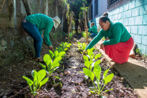 Lee más sobre el artículo Mujeres de Ciudad Arce cultivan vida, autonomía y derechos desde la horticultura ecológica