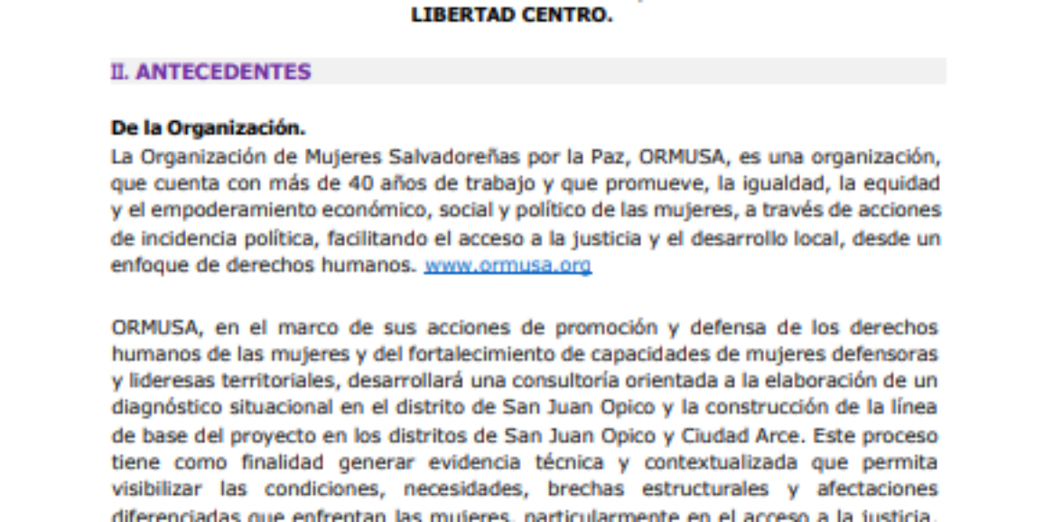 Consultoría para la elaboración de un diagnostico situacional sobre la realidad de las mujeres, con análisis de pobreza y desigualdad multidimensional  e identificación de brechas en San juan Opico y la Construcción de la línea base del proyecto en los distritos de San Juan Opico y Ciudad Arce, departamento La Libertad Centro