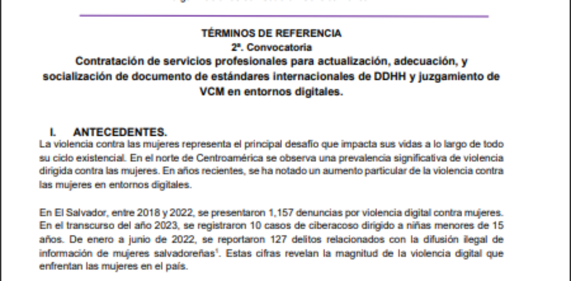2 – Convocatoria – Contratación de servicios profesionales para actualización, adecuación, y socialización de documento de estándares internacionales de DDHH y juzgamiento de VCM en entornos digitales