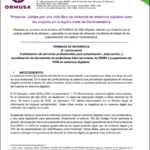 2 – Convocatoria – Contratación de servicios profesionales para actualización, adecuación, y socialización de documento de estándares internacionales de DDHH y juzgamiento de VCM en entornos digitales